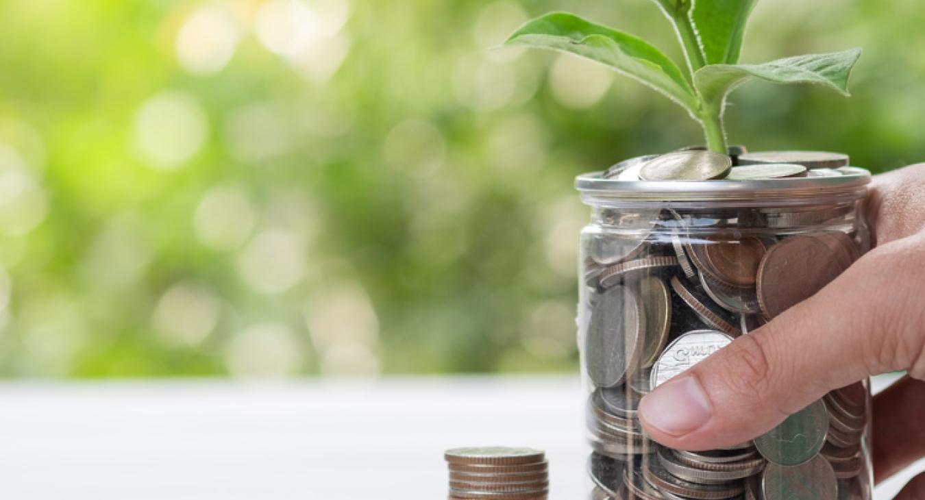 hand holding a mason jar filled with coins and a plant top growing out the top with stacks of coins next to the jar on the table